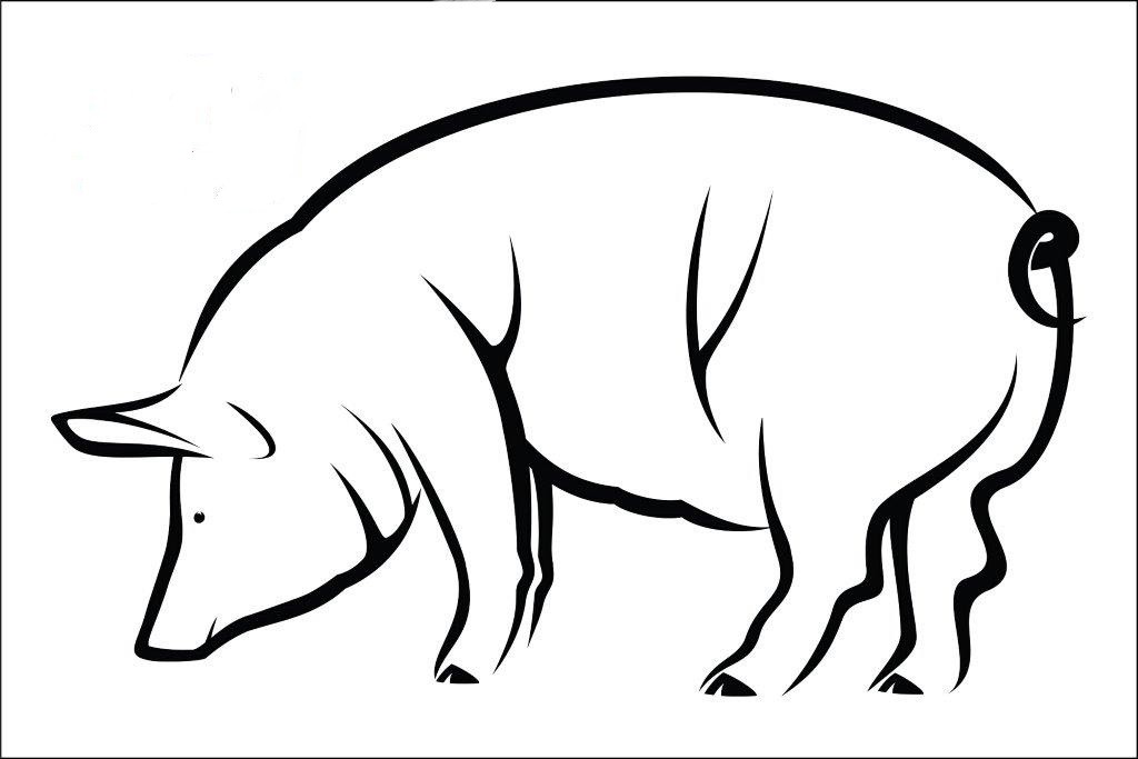 pig clipart black and white free - photo #44