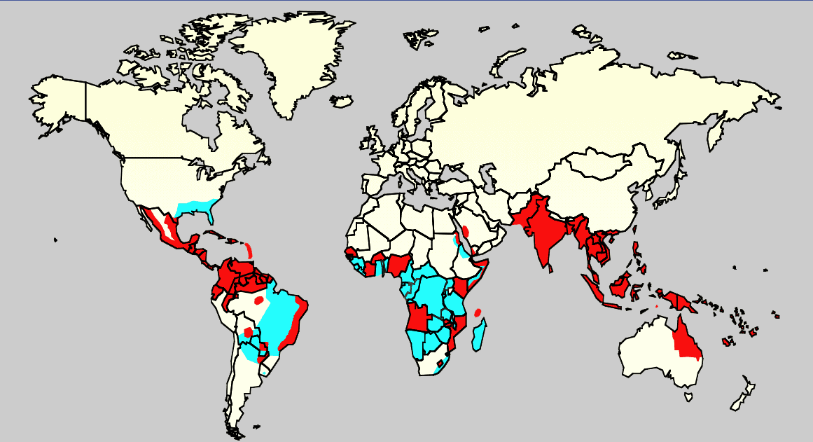 Colombians Use Homeopathy for Dengue Fever 6