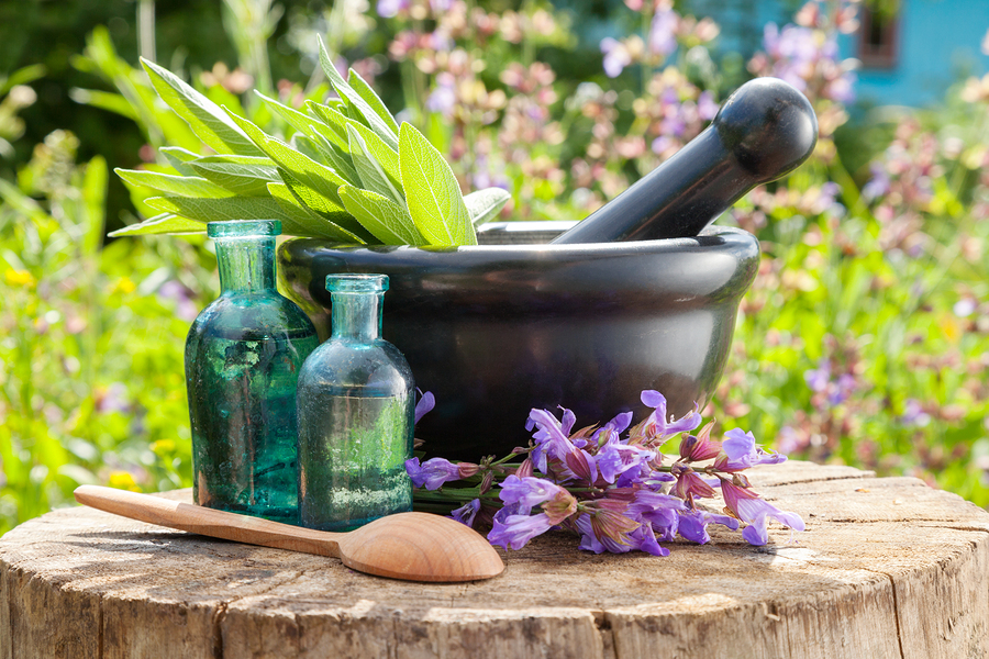 A decorative image of a motor and pestle for this tutorial on how homeopathy balances the vital force.