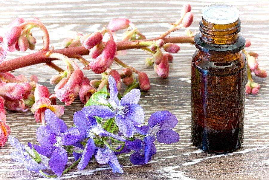 Bach flowers Who, what, when, where, how, and why Homeopathy Plus