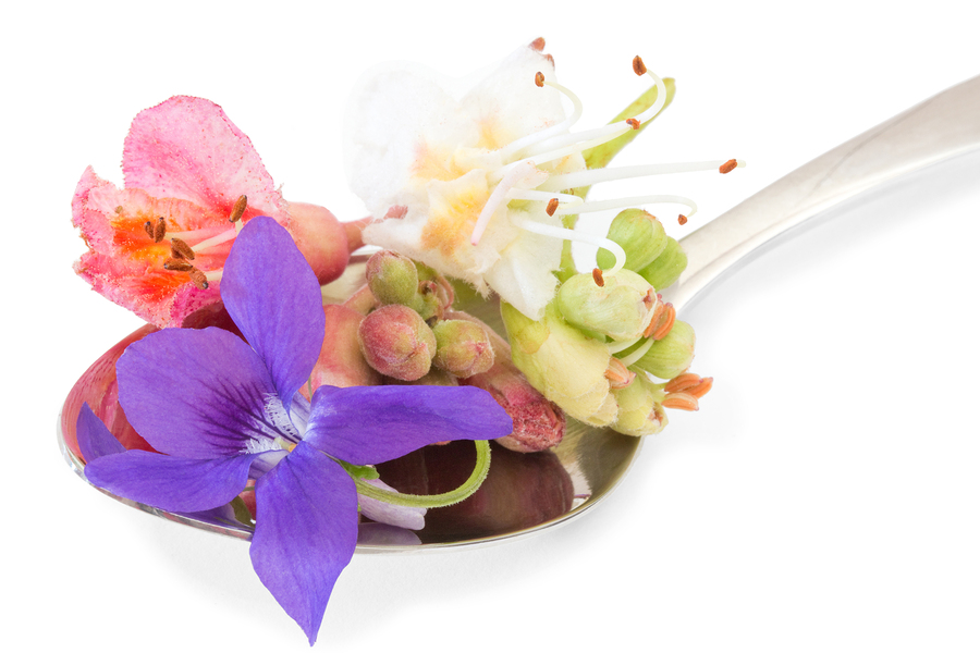 Close up of different bach flowers on a tea spoon