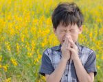 Hay Fever Help with Homeopathy 2