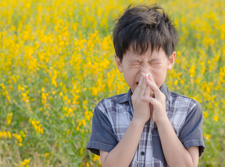 Hay Fever Help with Homeopathy 2