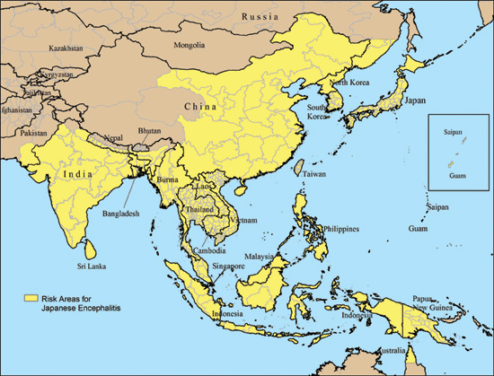 Study: Japanese Encephalitis Controlled by Homeopathic Belladonna ...