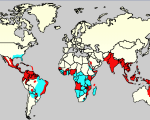 Columbians Colombians Use Homeopathy for Dengue Fever Colombians Use Homeopathy for Dengue Fever 1