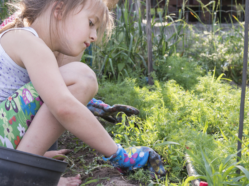 A young girl is inspecting a garden, which perhaps needs some homeopathic help!
