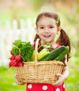 A little girl with a basket of vegetables home grown from her garden