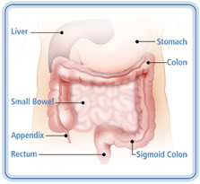 A Homeopathic Approach to Inflammatory Bowel Disease – Crohn’s and Colitis 8