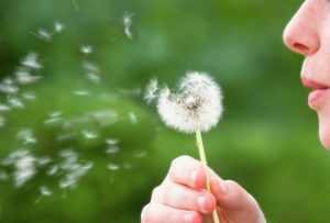 Treating Allergies with Homeopathy 4