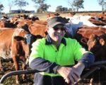 Cows Happy Cows, Happy Farmer Happy Cows, Happy Farmer 1
