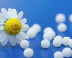 l-carnitine side effects Acetyl-L-Carnitine: Benefits, Forms, Dosing, and Side Effects – Dr Brad  Stanfield