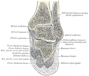 Fractures Set Better and Healed Faster with Homeopathy 2