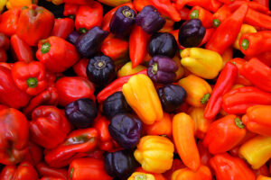 Capsicum_annuum-1_zpsaf87c20a