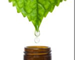 LeafandBottle zpse8796b80 Arnica to the rescue! Arnica to the rescue! 1