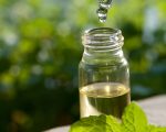 Bottleanddropper zpse1e182e1 Homeopathy for Summer First-aid Homeopathy for Summer First-aid 1