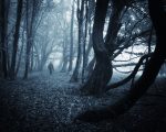 Dark Woods The Passing Hour - Winner of the 2013 International Homeopathic Short Story Competition The Passing Hour - Winner of the 2013 International Homeopathic Short Story Competition 1