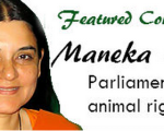 10559689 876479802381796 8482863769594262054 n Homeopathy at the animal shelter Homeopathy at the animal shelter 1