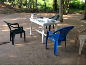 Visiting the Ghana Homeopathy Project