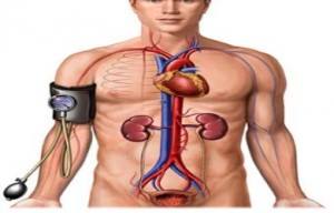 Hypertension - Fundamentals and Homeopathic Remedies 10