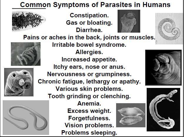 Worms_and_Parasites