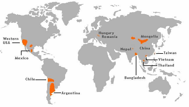 Arsenic_Poisoning_Around_the_World