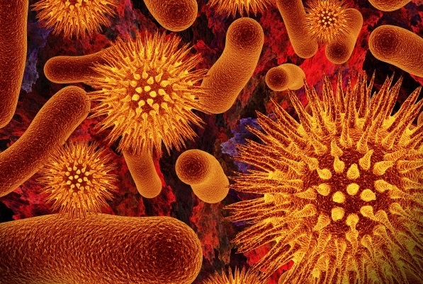 Bacteria_and_Viruses