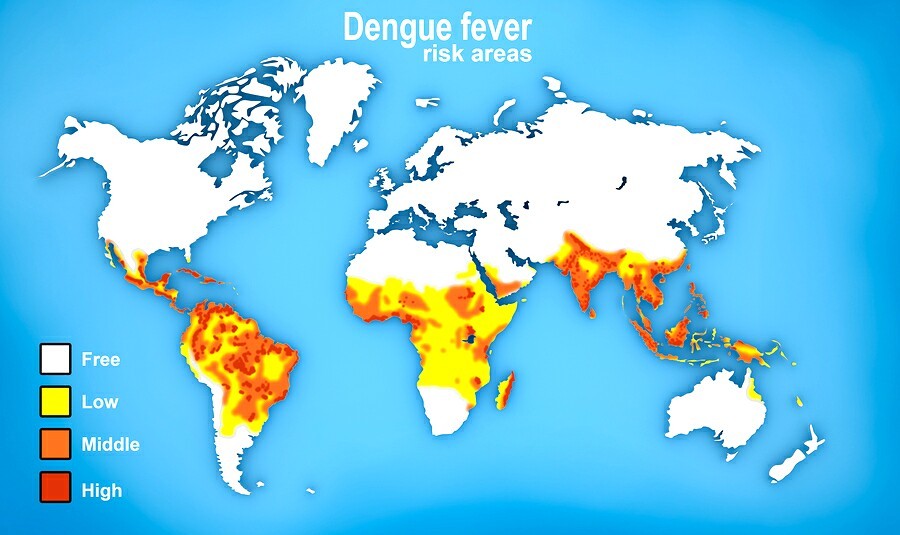 Dengue_Map