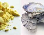 Hepar sulph. Know Your Remedies: Hepar Sulphuris Calcareum (Hep.) Know Your Remedies: Hepar Sulphuris Calcareum (Hep.) 1