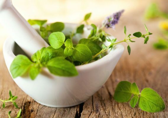 A motor and pestle with plants in it for this article on homeopathy and side effects 