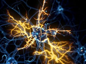 What Can Homeopathy do for Motor Neurone Disease?