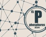 Know Your Remedies: Phosphorus (Phos.) 1
