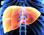 Hepatitis Study: Hepatitis Treatment Study: Hepatitis Treatment 1