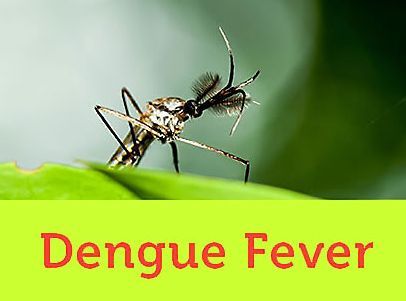 Dengue Research and Remedies 2