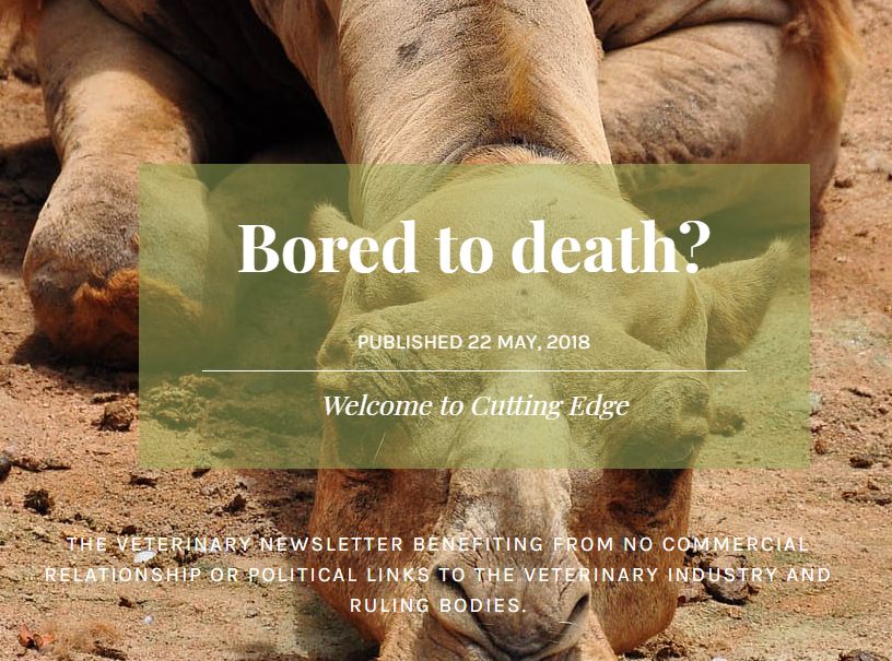 Bored to Death? A Vet Newsletter 2