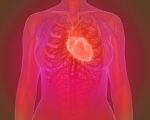 Heart murmur Remedies for Heart Murmurs Remedies for Heart Murmurs 1