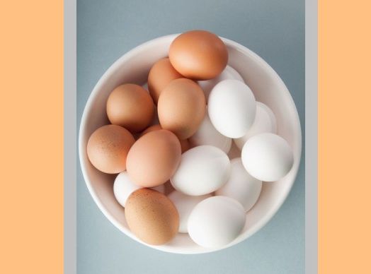 Egg Allergies and Homeopathy 2