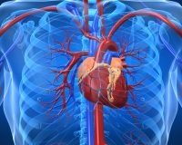 Heart Disease and Homeopathy 3