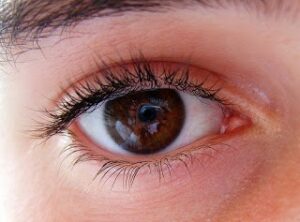 Top 10 Remedies for Eyes