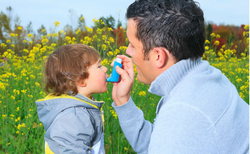 Study: Homeopathy for Asthma, Eczema, Food Intolerances, and Hay Fever 2