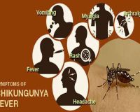 Chikungunya Fever Remedies 9