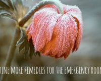 Emergency First-aid Remedies 1
