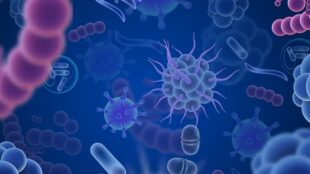 Infection bacteria and viruses