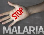 Malaria Mosquito-borne Diseases Mosquito-borne Diseases 1