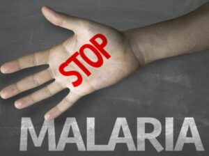 Mosquito-Borne Diseases