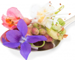 Bach Flower Bach Flowers Explained Bach Flowers Explained 1