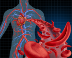 Circulation Homeopathy for Circulation Homeopathy for Circulation 1