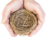 Empty Nest Empty Nest Syndrome Empty Nest Syndrome 1