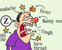Remedies for Flu-like Symptoms 1