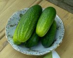 Cucumber 2 Cases of Cucumber Remedies 2 Cases of Cucumber Remedies 1