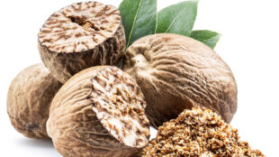Nutmeg as the homeopathic remedy, Nux Moschata (Nux-m.)